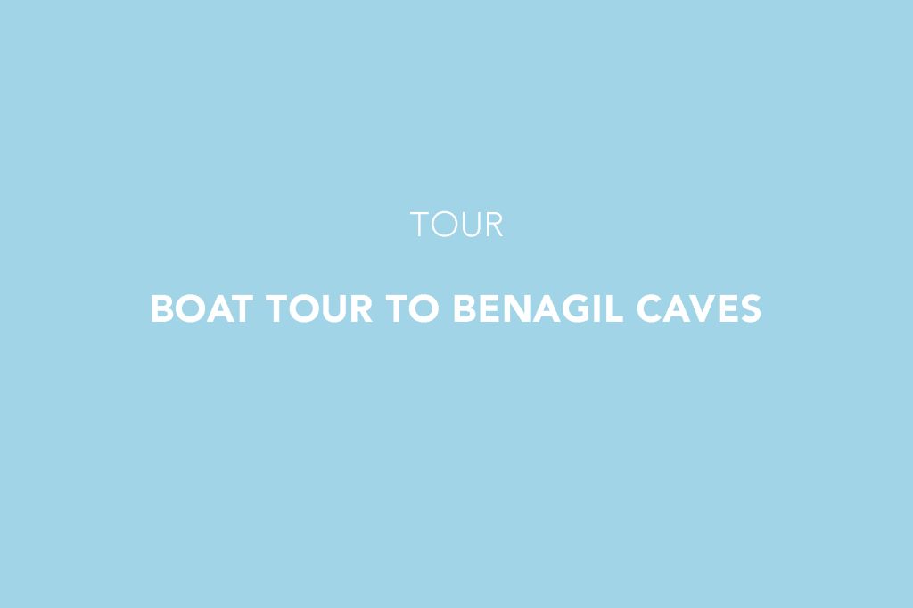 Boat Tour to Benagil Caves, Tour, Porches, Lagoa, Algarve